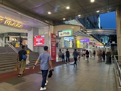 Lucky Plaza (D9), Shop House #476975821